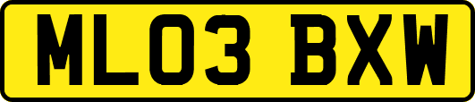 ML03BXW