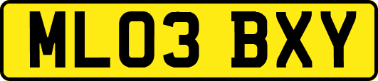 ML03BXY