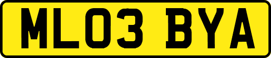 ML03BYA