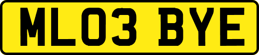 ML03BYE
