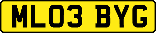 ML03BYG