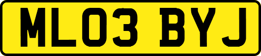 ML03BYJ