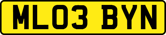 ML03BYN