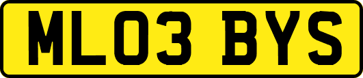 ML03BYS
