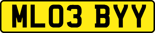 ML03BYY