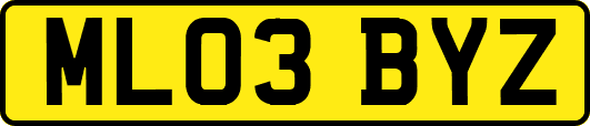 ML03BYZ