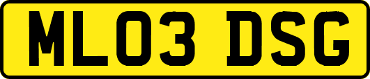 ML03DSG
