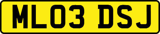 ML03DSJ