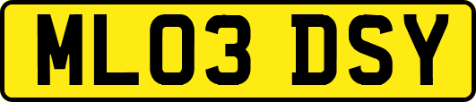 ML03DSY
