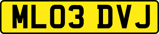 ML03DVJ