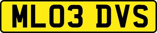 ML03DVS