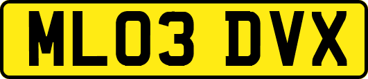 ML03DVX