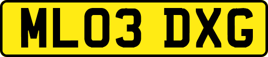 ML03DXG