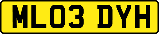 ML03DYH