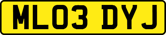 ML03DYJ
