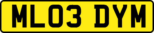 ML03DYM