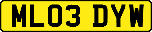 ML03DYW