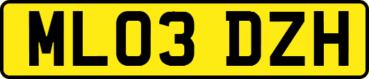 ML03DZH