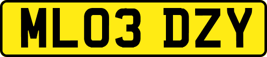 ML03DZY