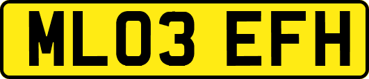 ML03EFH