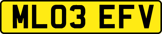 ML03EFV