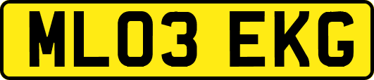 ML03EKG