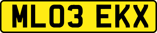 ML03EKX