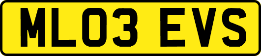 ML03EVS