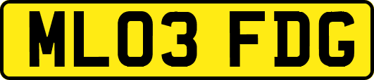 ML03FDG