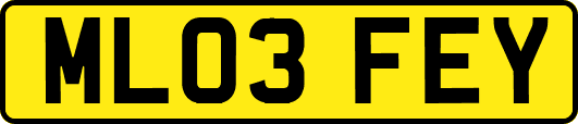 ML03FEY