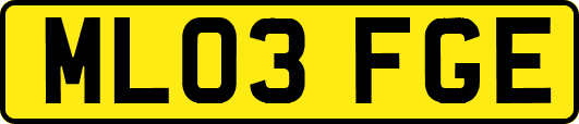 ML03FGE