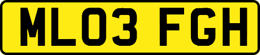 ML03FGH