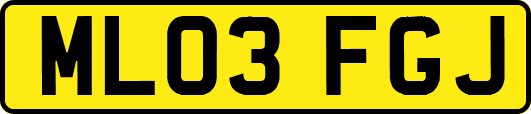 ML03FGJ