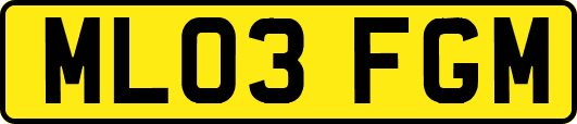 ML03FGM