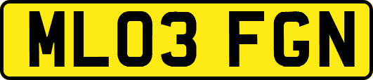 ML03FGN