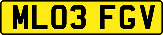 ML03FGV