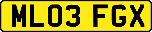 ML03FGX