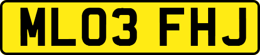 ML03FHJ