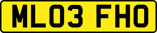ML03FHO