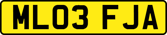 ML03FJA