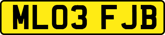 ML03FJB