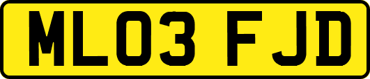 ML03FJD