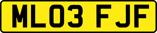 ML03FJF