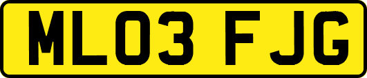 ML03FJG