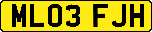 ML03FJH