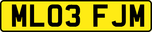 ML03FJM