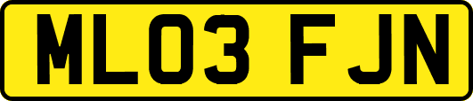 ML03FJN