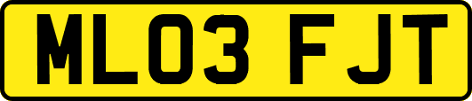 ML03FJT