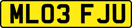 ML03FJU