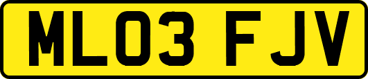 ML03FJV